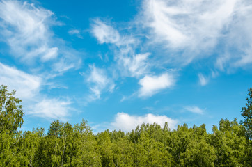 Textured background of blue sky with clouds and forest