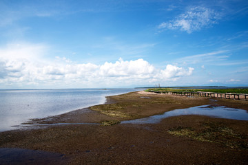 北海道野付半島のトドワラ