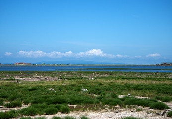 北海道野付半島のトドワラ