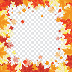 Maple leaves on transparency grid