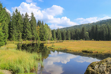 Kleiner Arbersee, National Park Bayerischer Wald, Panorama Landschaft 