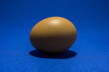 chicken egg for cooking on the table