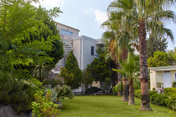 Obraz premium House in the tropics. Apartment.