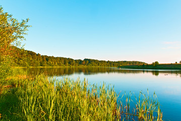 The river Kostroma on a summer day. Russia.