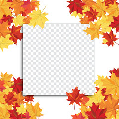 Naklejka na ściany i meble Maple leaves on transparency grid