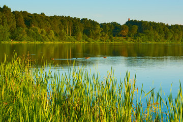 The river Kostroma on a summer day. Russia.