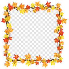 Maple leaves on transparency grid