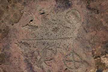 Petroglyphs