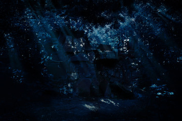 Ruins in night forest