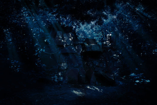 Fototapeta Ruins in night forest