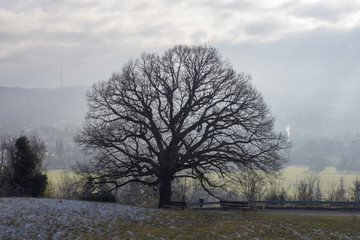 Vue sur la ville de Lörrach en Allemagne du sud depuis les collines de Tullingen.