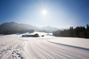 Freshly prepared cross country ski run