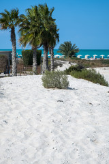 Saadiyat Public Beach, Saadiyat Island, Abu Dhabi, UAE
