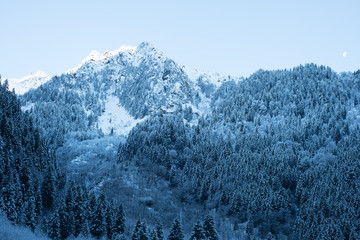 Chalet Courchevel Snow Winter Travel Ski Resort.