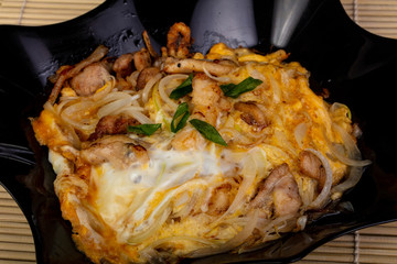 Delicious plate of donburi