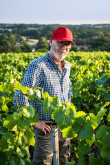 A french winegrower in his vines at sunset