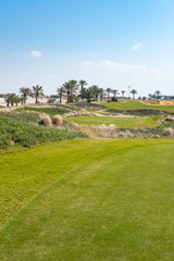 Golf Course at Saadiyat Island, Abu Dhabi, UAE