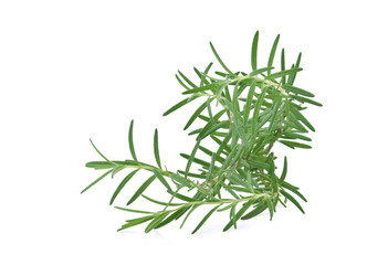 Rosemary isolated on white background
