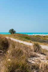 Saadiyat Public Beach, Saadiyat Island, Abu Dhabi, UAE