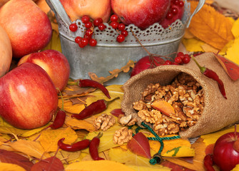 autumn harvest - fruits and vegetables are on fallen yellow leaves, nuts, apples, pumpkins, rowan and pepper. Perfect background for autumn season.