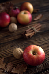  Autumn red apples with cinnamon sticks