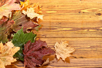 Naklejka na ściany i meble wet autumn leaves on a wooden background