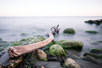 Tree in Sea. Long Exposure Photo. Turkey