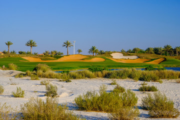 Golf Course at Saadiyat Island, Abu Dhabi, UAE