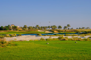 Golf Course at Saadiyat Island, Abu Dhabi, UAE