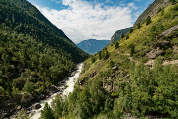 Obraz na płótnie Canvas Nature of Altai mountains