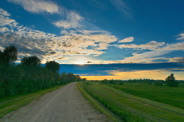 Fototapeta na wymiar Country road at sunset in summer. Kostroma, Russia.