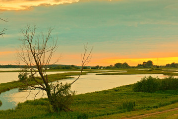 Creek of the Volga at sunset in the summer. Kostroma, Russia.
