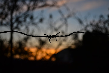 Fototapeta na wymiar sunset with silhouette of wire