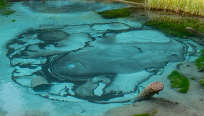 Nature of Altai mountains