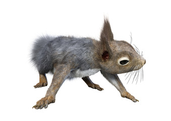 3D Rendering Eastern Grey Squirrel on White