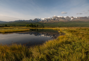 Nature of Altai mountains