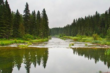 The Waskesiu River calmly flowing through a forest into rapids.