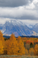 Grand Teton National Park Autumn Landscape