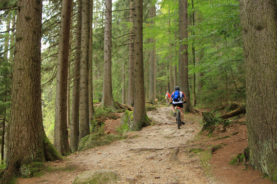 Radwandern um den kleinen Arbersee, National Park Bayerischer Wald 