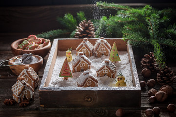 Adorable Christmas village made of gingerbread and sugar