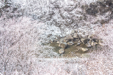 雪景色