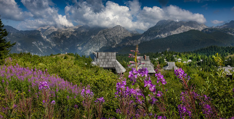 Herd village Velika Planina