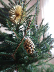 decorative fir cone on Christmas tree