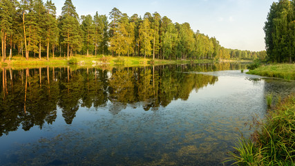 осенняя панорама с прудом и соснами на берегу, Россия Урал, сентябрь © 7ynp100