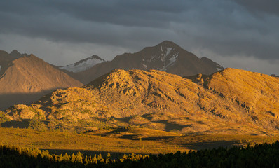 Fototapeta na wymiar Nature of Altai mountains