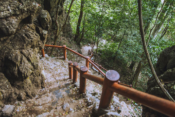 Stairs leading to the sky in the Park among the trees and rocks, Vietnam, national park on island CatBa