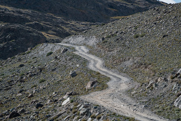 Nature of Altai mountains