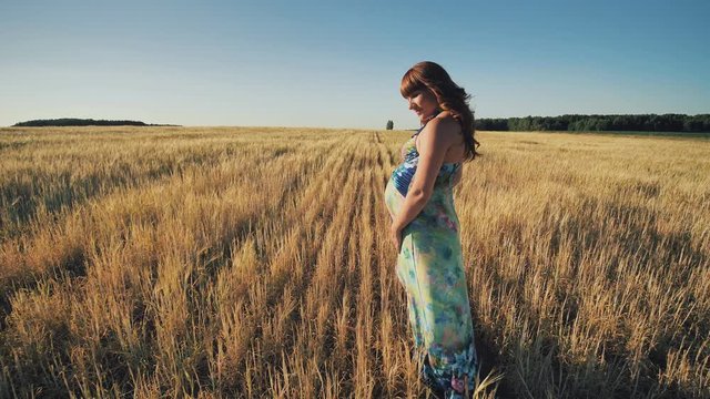 A pregnant young woman is walking on a wheat field at sunset. Video in motion.