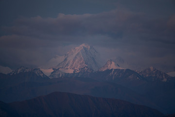 Wild nature of Altai mountains