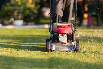 Lawnmower in action